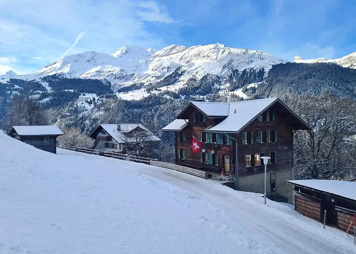 Traditional Chalet In Wengen - Top Floor