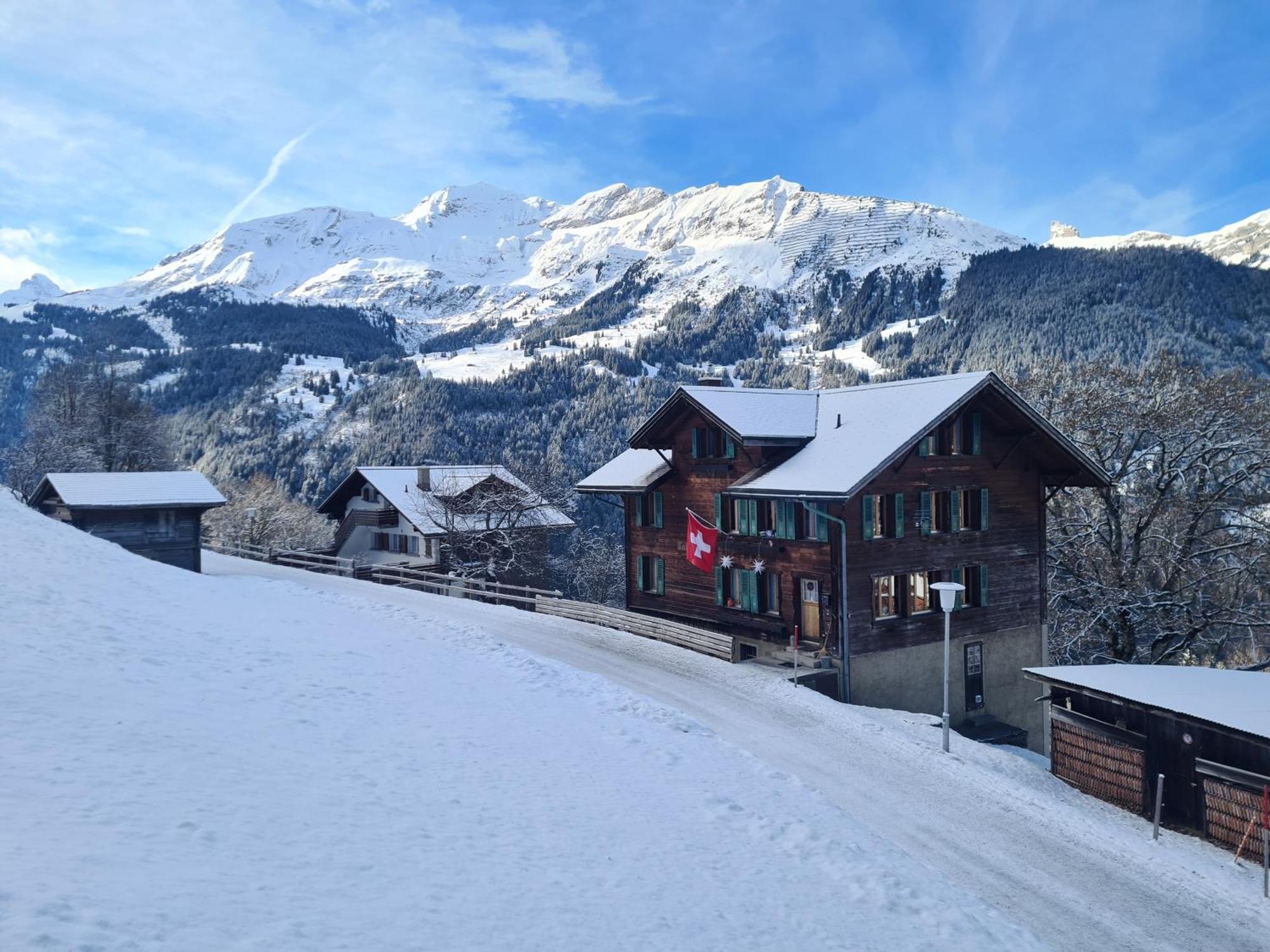 Traditional In - Floor Wengen